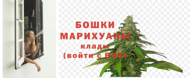 Канабис марихуана  blacksprut как войти  Губаха 